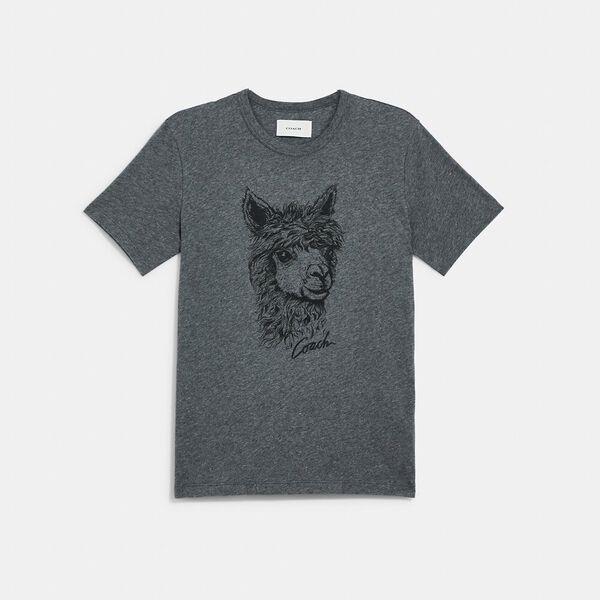 Alpaca Graphic T-Shirt