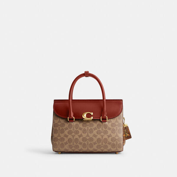 Broome Carryall In Signature Canvas With Snakeskin Detail