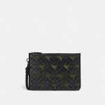Sales Coupons Deals - Coach Charter Pouch In Signature Canvas With Rexy Print
