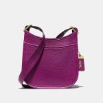 Sales Coupons Deals - Coach Emery Crossbody 21