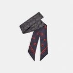 Sales Coupons Deals - Coach Hearts Print Silk Skinny Scarf