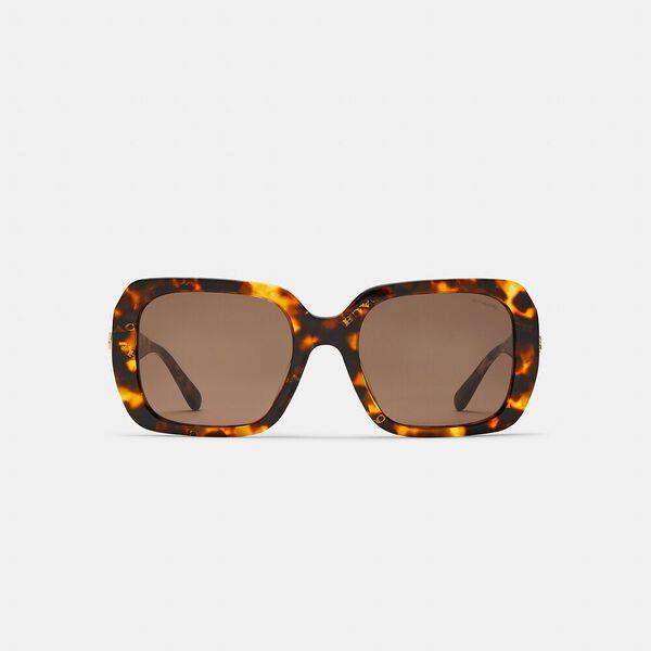 Horse And Carriage Square Sunglasses