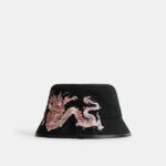 Sales Coupons Deals - Coach New Year Bucket Hat With Dragon