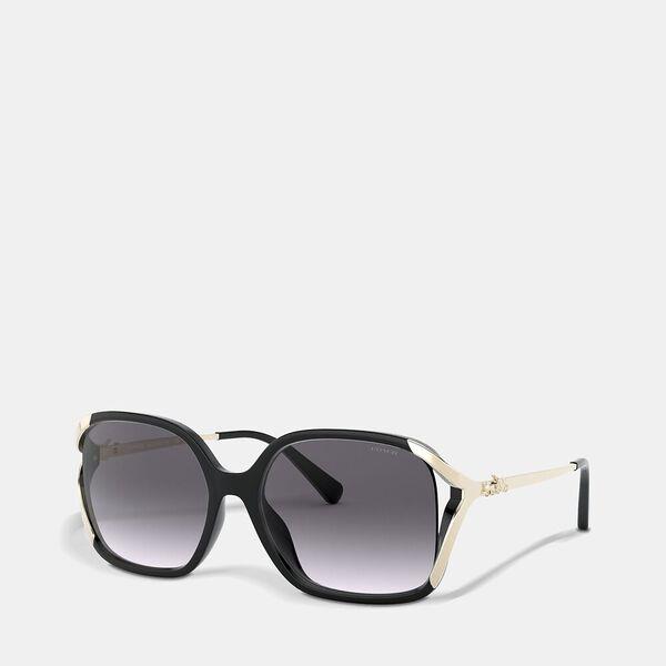 Oversized Horse And Carriage Sunglasses
