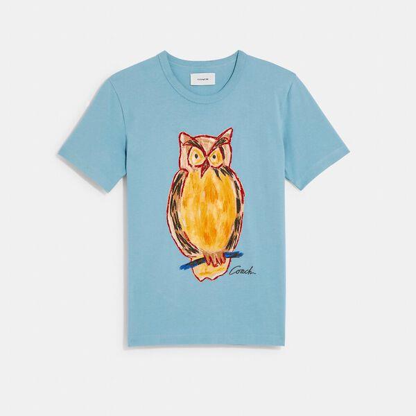 Painted Owl T-Shirt