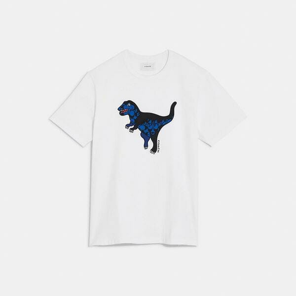 Patchwork Rexy T-Shirt In Organic Cotton