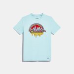 Sales Coupons Deals - Coach Rainbow City T-Shirt