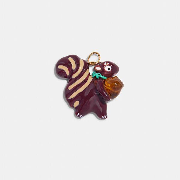 Squirrel Charm