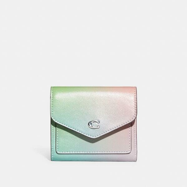 Wyn Small Wallet With Ombre