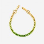 JW PEI - Isla Gradient Chain Strap - Green - Apparel & Accessories > Handbags