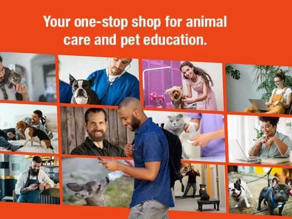 Sales Coupons Deals - Holly & Hugo Pet eLearning: Lifetime Subscription for $99
