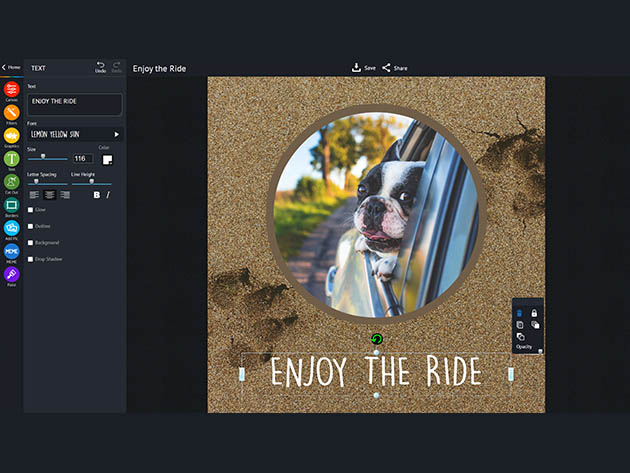 piZap Pro: Lifetime Subscription for $39