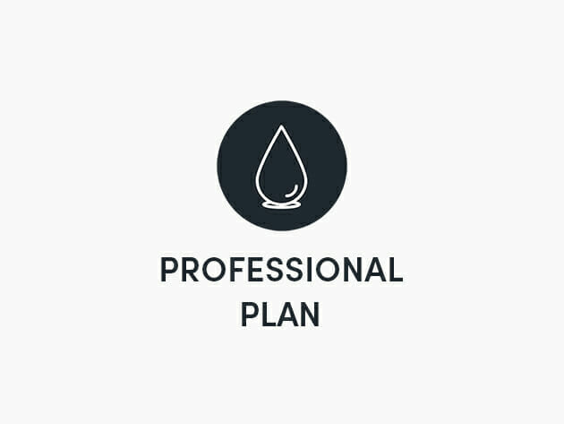 Blurweb Professional Plan: Lifetime Access for $17