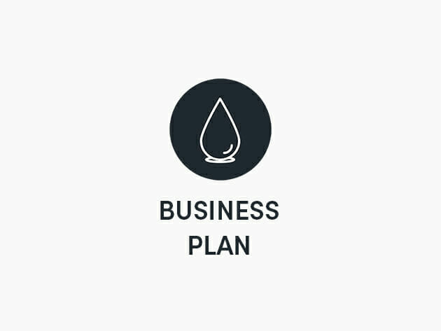 Blurweb Business Plan: Lifetime Access for $47