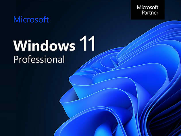 The Ultimate Microsoft Office Pro 2021 for Windows + Windows 11 Pro & Degoo Premium: Lifetime 1TB Backup Plan for $79